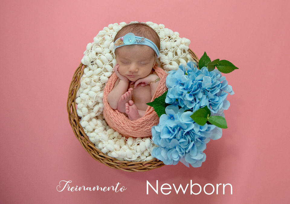 Treinamento Newborn Treinamento Newborn